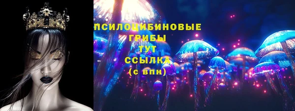 винт Абаза